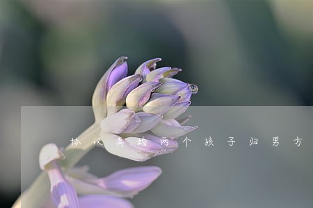 协议离婚两个孩子归男方 协议离婚两个孩子归男方