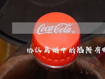 协议离婚中的陷阱有哪些 协议离婚中的陷阱有哪些