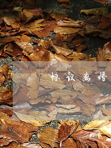 协议离婚书怎么写 协议离婚书怎么写
