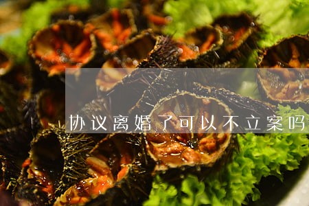 协议离婚了可以不立案吗 协议离婚了可以不立案吗