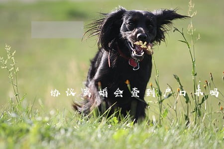 协议离婚会查到户口本吗 协议离婚会查到户口本吗
