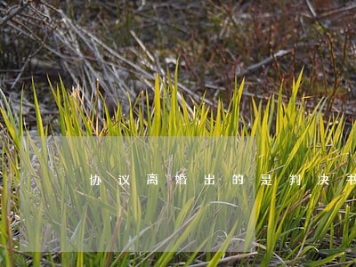 协议离婚出的是判决书吗 协议离婚出的是判决书吗