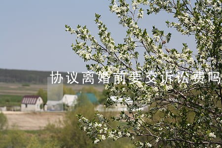 协议离婚前要交诉讼费吗 协议离婚前要交诉讼费吗