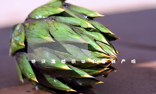协议离婚可以不要财产吗 协议离婚可以不要财产吗