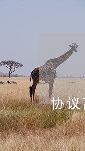 协议离婚名下债务分割 协议离婚名下债务分割