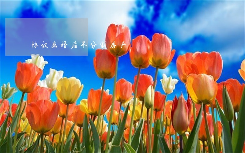 协议离婚后不分割房产 协议离婚后不分割房产