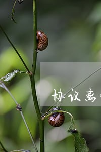 协议离婚后剥夺探视权 协议离婚后剥夺探视权