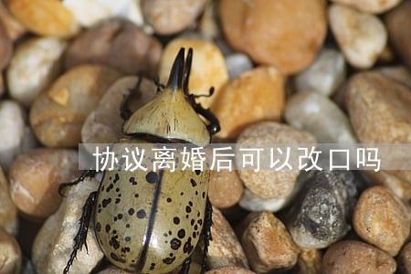 协议离婚后可以改口吗 协议离婚后可以改口吗