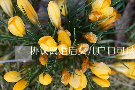 协议离婚后女儿户口可以迁走 协议离婚后女儿户口可以迁走