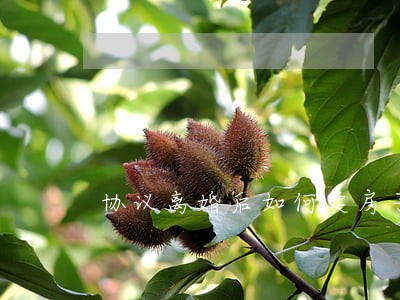 协议离婚后如何卖房子 协议离婚后如何卖房子