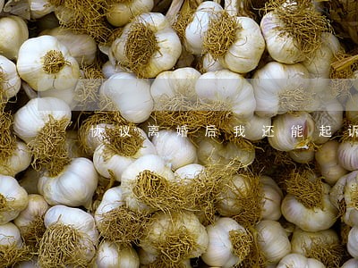协议离婚后我还能起诉吗 协议离婚后我还能起诉吗