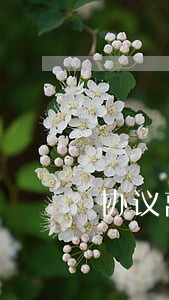 协议离婚后能不能买房 协议离婚后能不能买房