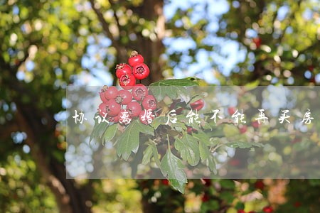 协议离婚后能不能再买房 协议离婚后能不能再买房