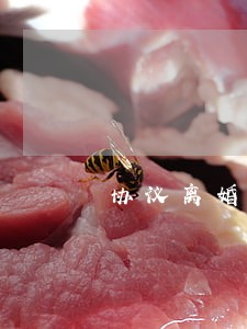 协议离婚后能找到对方吗