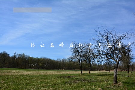 协议离婚后财产怎么过户 协议离婚后财产怎么过户