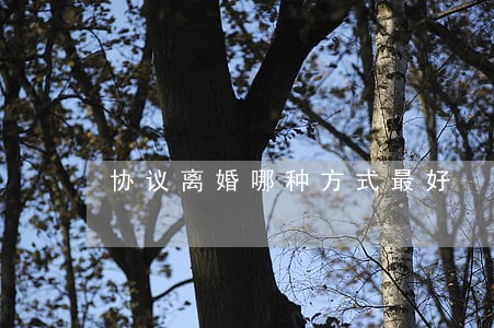 协议离婚哪种方式最好 协议离婚哪种方式最好