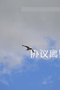 协议离婚在哪里办手续