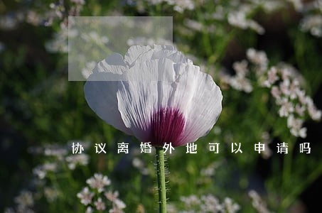 协议离婚外地可以申请吗 协议离婚外地可以申请吗