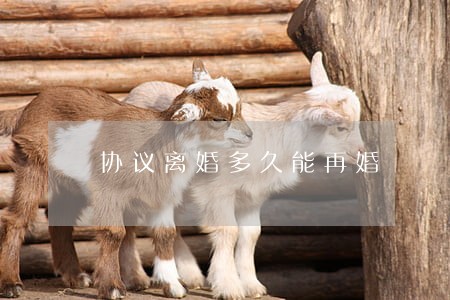 协议离婚多久能再婚 协议离婚多久能再婚