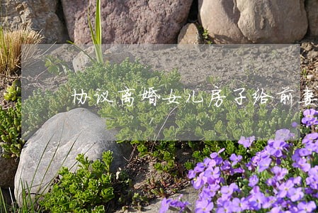 协议离婚女儿房子给前妻 协议离婚女儿房子给前妻