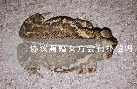 协议离婚女方会有补偿吗 协议离婚女方会有补偿吗