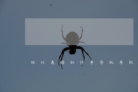 协议离婚如何争夺抚养权 协议离婚如何争夺抚养权
