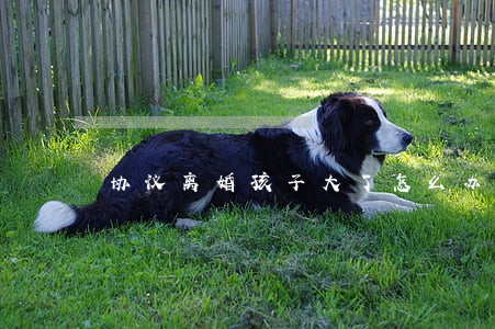 协议离婚孩子大了怎么办 协议离婚孩子大了怎么办