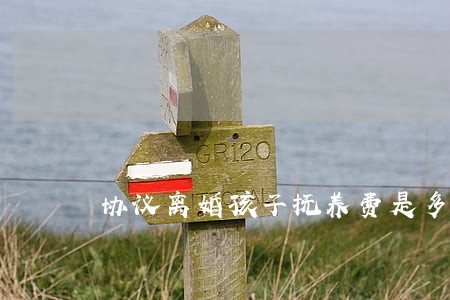 协议离婚孩子抚养费是多少 协议离婚孩子抚养费是多少