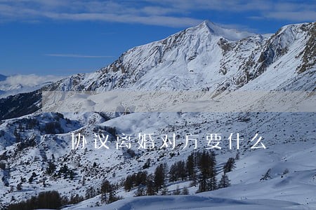 协议离婚对方要什么 协议离婚对方要什么