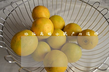 协议离婚小孩户口迁移 协议离婚小孩户口迁移