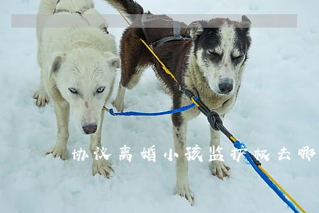 协议离婚小孩监护权去哪里更改 协议离婚小孩监护权去哪里更改