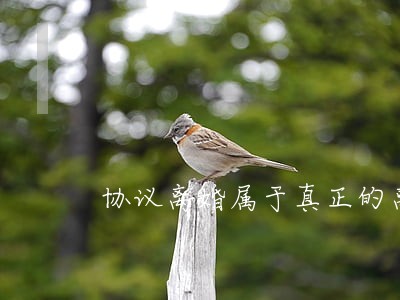 协议离婚属于真正的离婚了吗