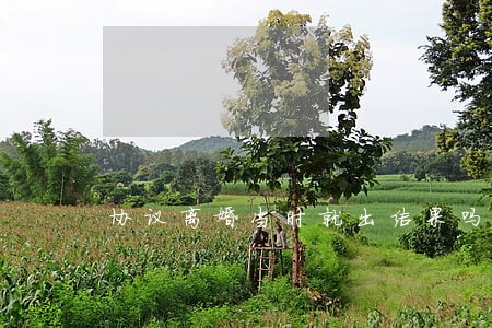 协议离婚当时就出结果吗 协议离婚当时就出结果吗