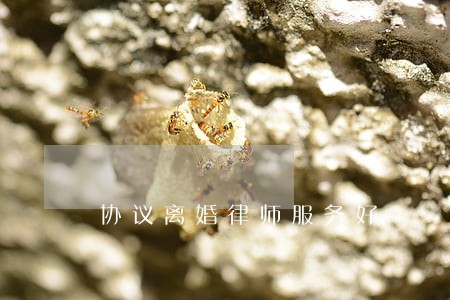 协议离婚律师服务好 协议离婚律师服务好