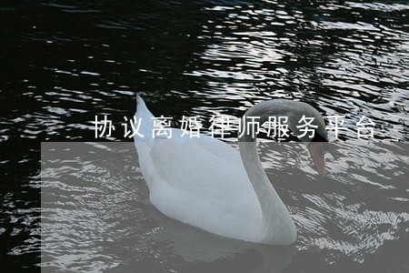 协议离婚律师服务平台 协议离婚律师服务平台