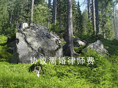 协议离婚律师费 协议离婚律师费