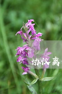 协议离婚怎么写房产分割 协议离婚怎么写房产分割