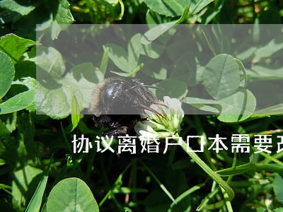 协议离婚户口本需要改吗 协议离婚户口本需要改吗