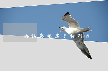 协议离婚房子归对方 协议离婚房子归对方