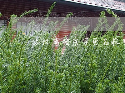 协议离婚房子更名收费吗