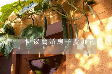 协议离婚房子要办过户吗 协议离婚房子要办过户吗