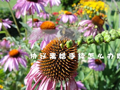 协议离婚手续怎么办理 协议离婚手续怎么办理