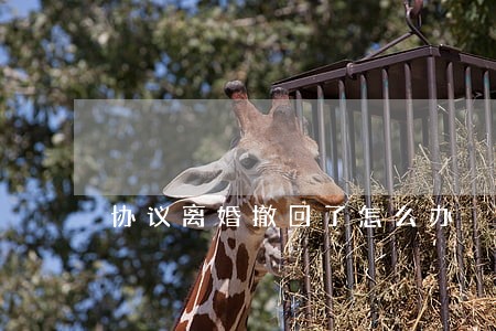 协议离婚撤回了怎么办