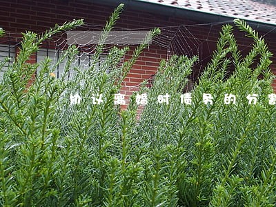 协议离婚时债务的分割 协议离婚时债务的分割