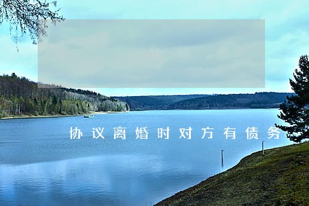 协议离婚时对方有债务 协议离婚时对方有债务