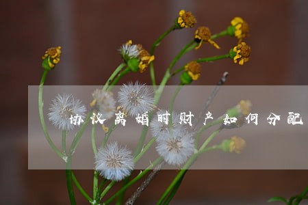协议离婚时财产如何分配 协议离婚时财产如何分配