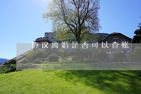 协议离婚是否可以查账 协议离婚是否可以查账
