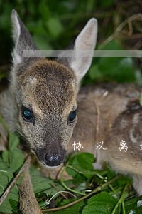 协议离婚最简单的方法 协议离婚最简单的方法