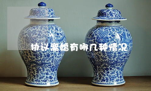 协议离婚有哪几种情况 协议离婚有哪几种情况
