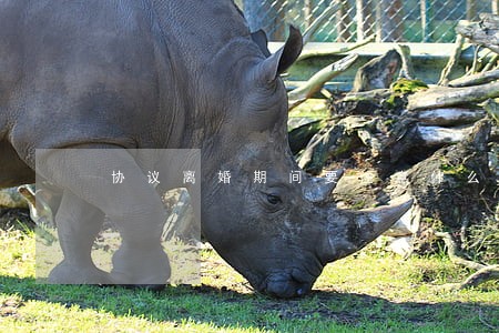 协议离婚期间要注意什么 协议离婚期间要注意什么